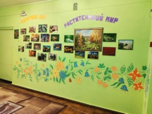 �����������