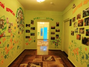 �����������